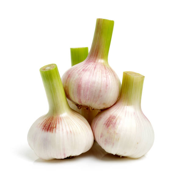 Fresh young garlic Fresh young garlic isolated on white background Relish stock pictures, royalty-free photos & images