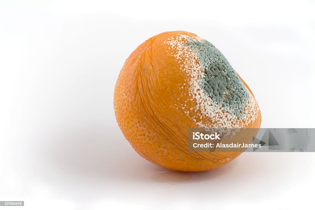 Rotten tangerina - Foto de stock de Apodrecer royalty-free