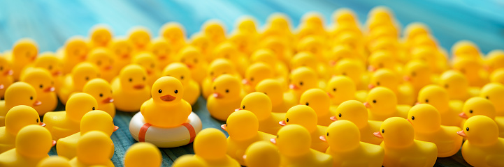 One yellow rubber duck on a safety inflatable life ring facing the camera as many other yellow rubber ducks gather around and look at the duck on the life ring, set on a turquoise colored wooden table background, conceptually representing water. Concept image relating to better than the rest, survival, standing out from the crowd, prepared, escape, fleeing, danger, etc.