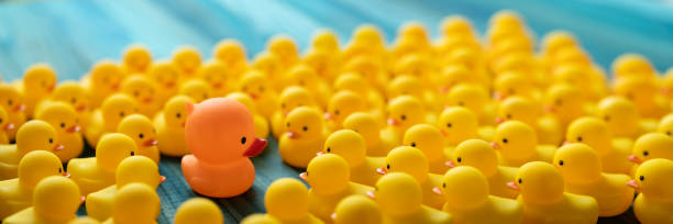 istock One strange different orange rubber duck facing the camera as many other yellow rubber ducks gather around and look at the blue duck, set on a turquoise wooden table background. 1211544523