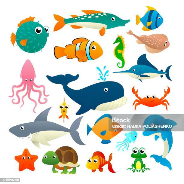 Ilustración de Gran Colección De Animales Marinos De Dibujos Animados y más Vectores Libres de Derechos de Bosque pluvial - iStock Ilustración de Gran Colección De Animales Marinos De Dibujos Animados y más Vectores Libres de Derechos de Bosque pluvial - iStock