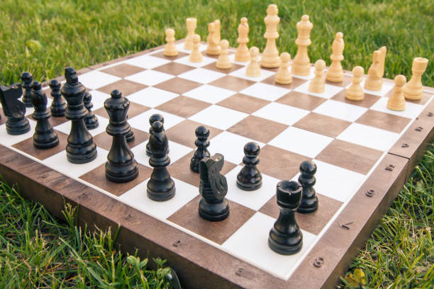 istock Chess board with chess pieces on green grass 1211549848