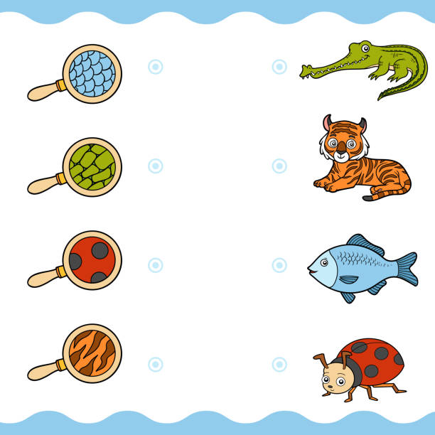 Matching game, education game for children. Find the right parts, set of cartoon animals Matching game, education game for children. Find the right parts, set of cartoon animals. Crocodile, tiger, fish, ladybug gavial stock illustrations