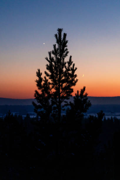 istock Winter sunset in suburban forest 1211550067