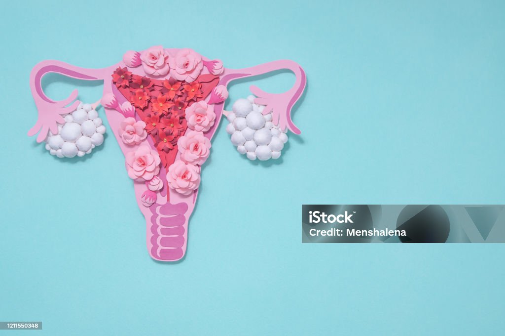 Concept polycystic ovary syndrome, PCOS. Copy space, women reproductive system Concept polycystic ovary syndrome, PCOS. Paper art, awareness of PCOS, image of the female reproductive system, copy space for text Uterus Stock Photo