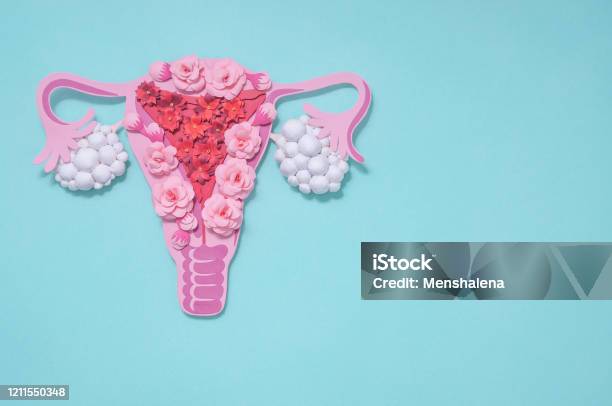 Concept Polycystic Ovary Syndrome Pcos Copy Space Women Reproductive System Stock Photo - Download Image Now