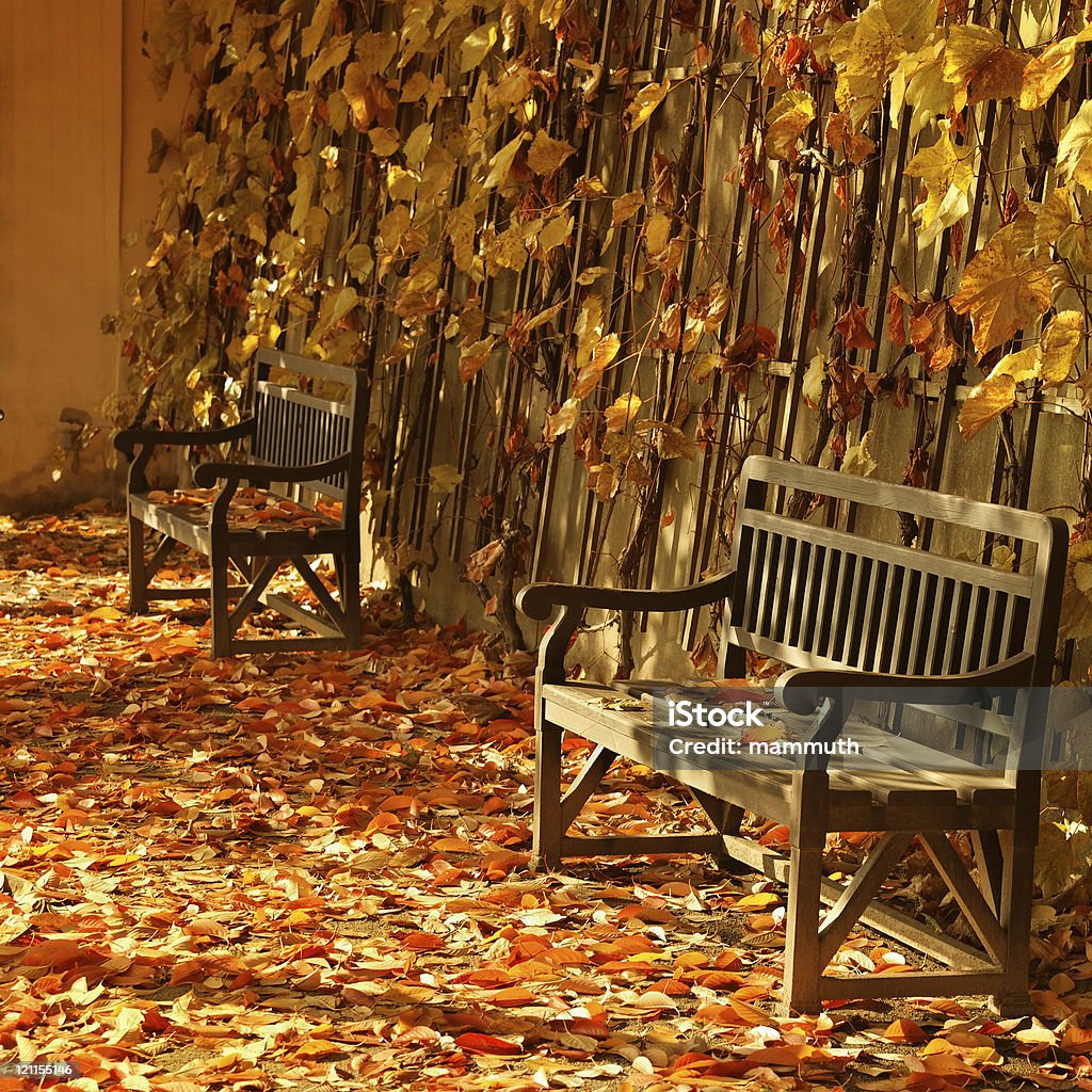 Общественный скамьи в свет осени - Стоковые фото Без людей роялти-фри