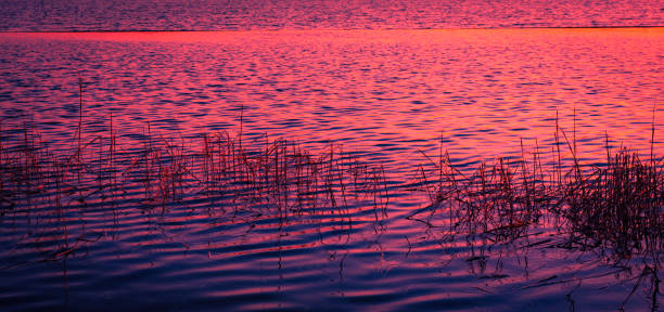 istock Pink twilight sun reflected on rippled ocean water and beach grass 1211551669