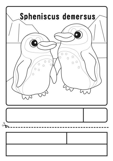 Cape Penguin Spheniscus demersus Coloring Form Cape Penguin Spheniscus demersus coloring page Application Form magellanic penguin stock illustrations