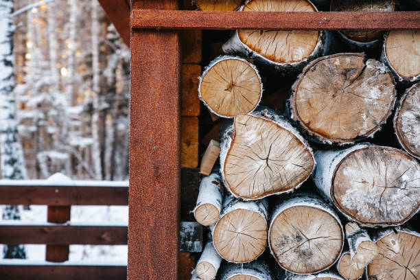 Logs with firewood in winter