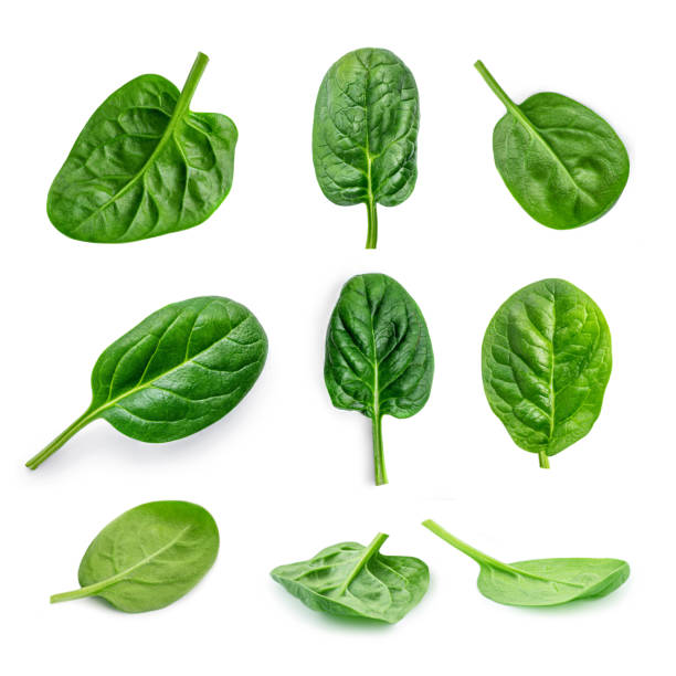 istock Spinach. Creative layout made of  Spinach leaves   isolated on white background.  Top view. Flat lay. 1211556789