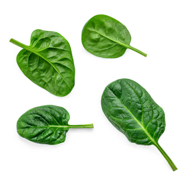 istock Creative layout made of Fresh spinach leaves isolated on white background. 1211556796