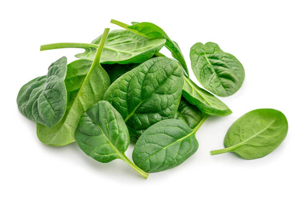 Pile of fresh green baby spinach leaves isolated  on white background. Close up Pile of fresh green baby spinach leaves isolated  on white background. Close up spinach photos stock pictures, royalty-free photos & images