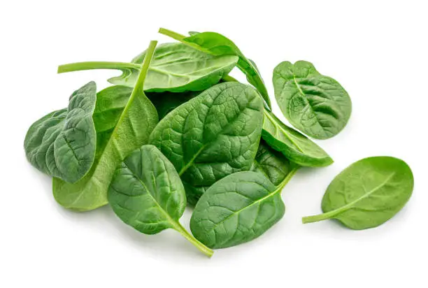 Photo of Pile of fresh green baby spinach leaves isolated  on white background. Close up