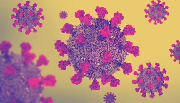 istock corona virus COVID-19 microscopic virus corona virus disease 3d illustration 1211557014