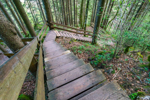 istock Fantastic hike on the Grunten in the Allgau 1211560140