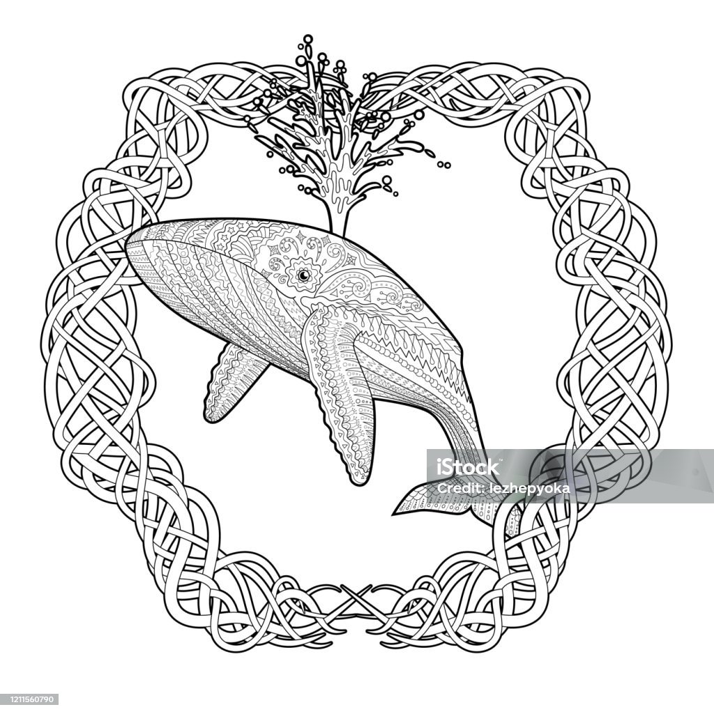 Desenho de Baleia azul para Colorir - Colorir.com
