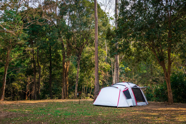 istock Camping and tent in nature park 1211563289