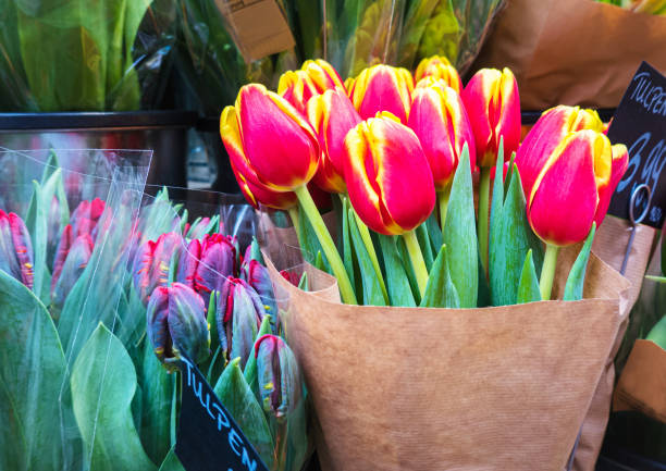 istock Colorful Tulips in the Garden 1211563340
