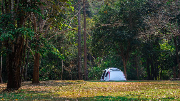 istock Camping and tent in nature park 1211563660