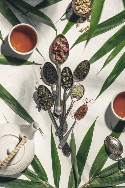 istock Tea types backgound-Herbal tea, black tea, rooibos tea, rose tea, matcha tea, green tea-flat lay, top view 1211565040