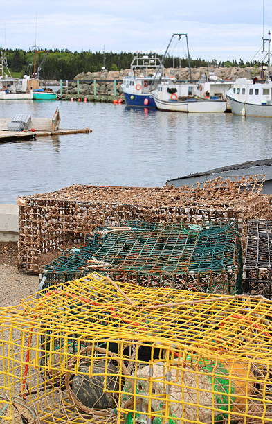 istock Lobster traps and buoys 121156606