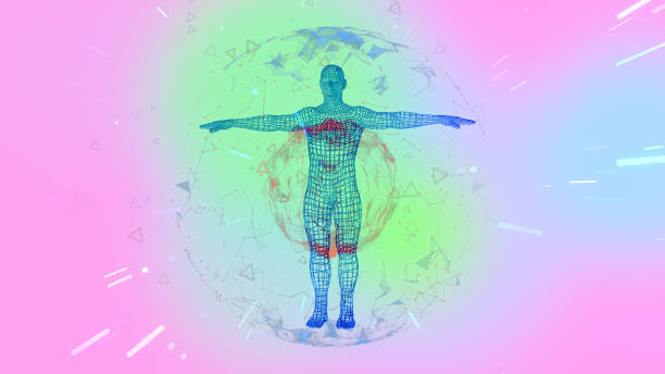 istock Human hologram wireframe model inside a plexus sphere over pink and green background with linear particles. 1211571130