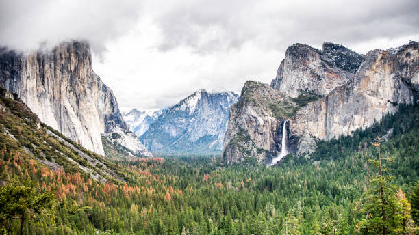 istock Yosemite National Park 1211571409