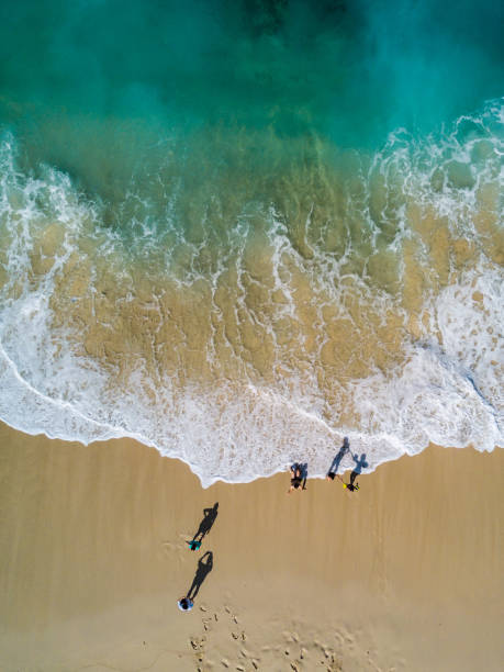 istock Family playing on a tropical beach from above 1211573393