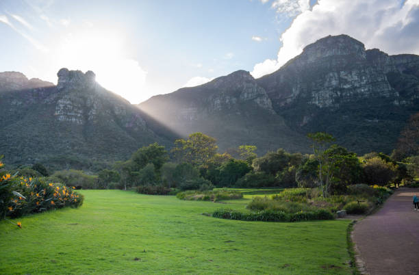 istock Kirstenbosch Botanical Garden 1211575050