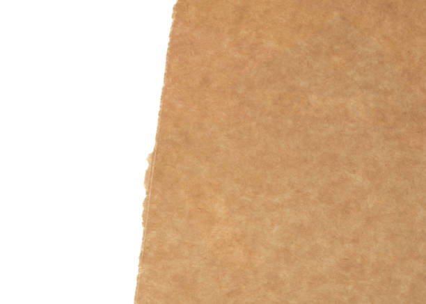 torn edges of corrugated cardboard paper with white background torn edges of corrugated cardboard paper with white background, abstract backdrop template torn brown paper stock pictures, royalty-free photos & images