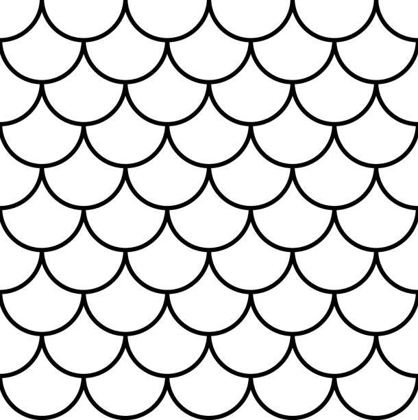 illustrazioni stock, clip art, cartoni animati e icone di tendenza di pesci, sirena, draghi, squame di serpente. modello senza cuciture in scala di coda. - ventaglio