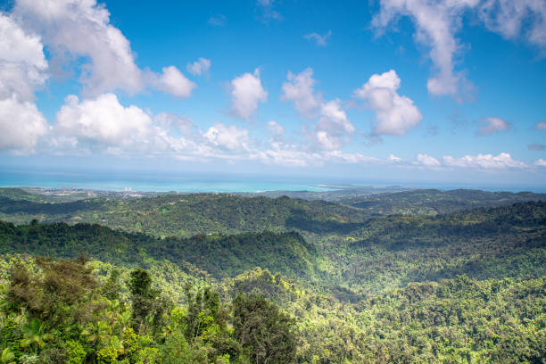 Outskirts of St. George, Grenada.