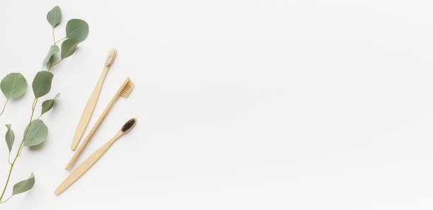 istock Eco Bamboo toothbrushes with green tree branch on white 1211578371