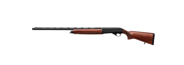 istock Modern semi-automatic shotgun with a wooden butt isolate on a white background. Weapons for hunting, sports and self-defense. 1211578480