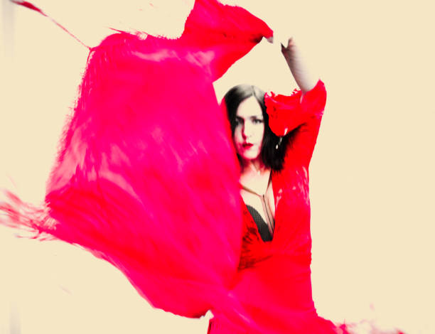 istock The flamenco dancer 1211584715