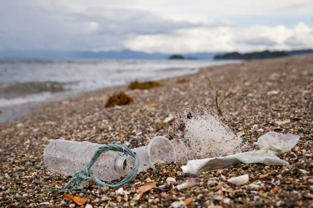Beach pollution. Plastic bottles and other trash on sea beach. Ocean pollution. Plastic trash on the seashore.