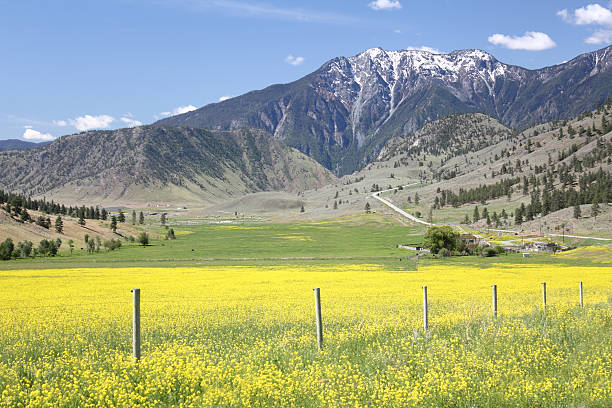 istock Chopaka Mountain Wa.  and Okanagan Pass BC. 121158587