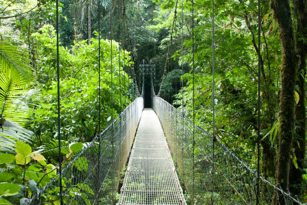 istock Jungle Bridge, La Fortuna Waterfall Hike 1211586050