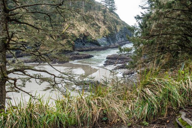 istock Deadmans Colve Landscape 3 1211589827