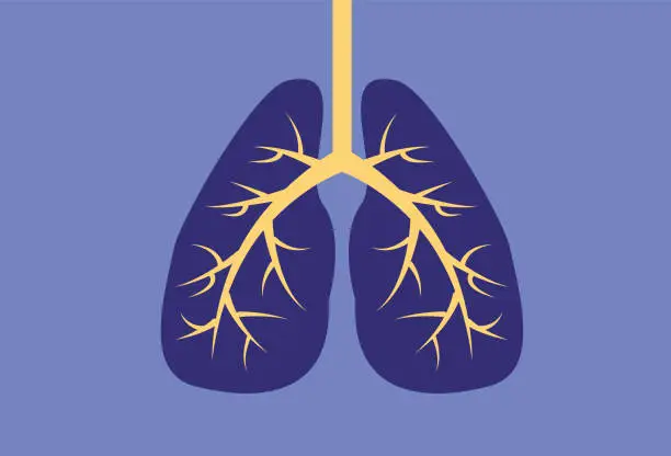 Vector illustration of Lung CT stock illustration