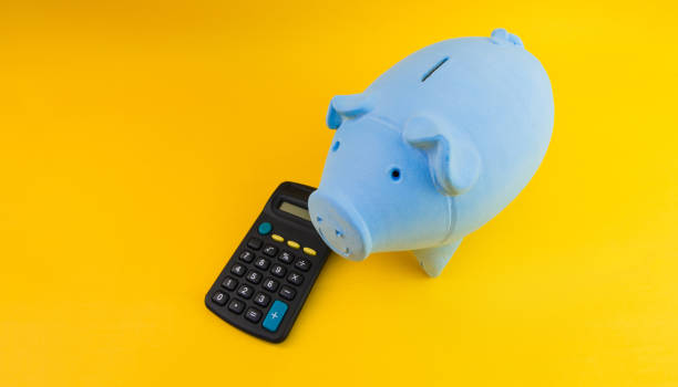 istock Piggy coins with calculator and dollars isolated 1211590882