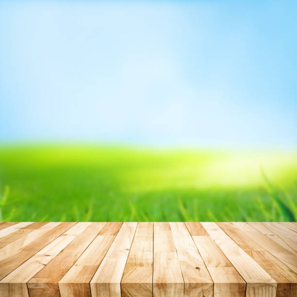 istock Beautiful texture wood table top texture on white background.For create product display or design key visual 1211591378