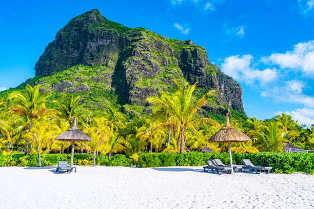 istock The Morne Brabant Mauritius 1211597499