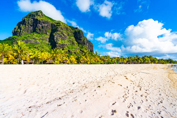 istock The Morne Brabant Mauritius 1211597570
