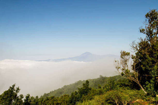 trade winds in the canary islands - trade winds imagens e fotografias de stock