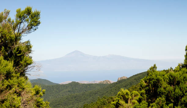 istock Garajonay National Park 1211601137