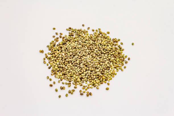 istock Ripe hemp seeds isolated on white background 1211601600
