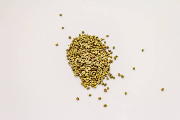 Ripe hemp seeds isolated on white background