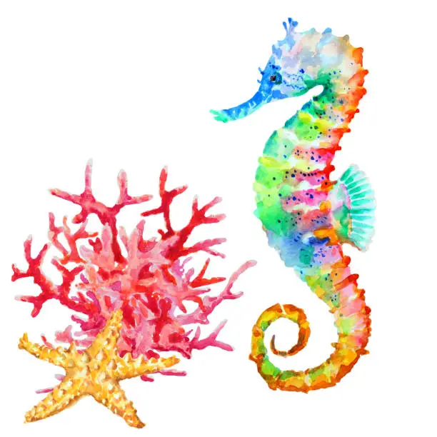 Photo of Colorful seahorse, red coral and starfish, watercolor.